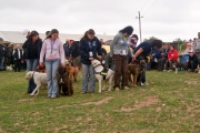 dsc01031.jpg