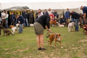 dsc01035.jpg