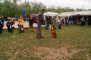 dsc01047.jpg