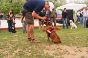 dsc01050.jpg