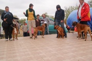 dsc01073.jpg
