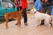 dsc01135.jpg
