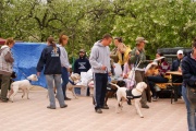 dsc01233.jpg