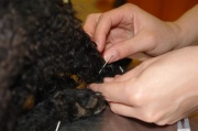 dsc01303.jpg