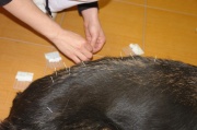 dsc01406.jpg