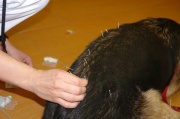 dsc01407.jpg