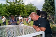 dsc02829.jpg