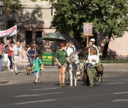 dsc03274_900x761.jpg