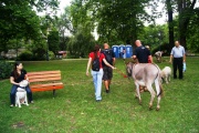 dsc03308.jpg