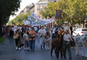 dsc03340_900x619.jpg