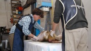 dsc06877_1200x674.jpg