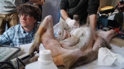 dsc06907_1200x674.jpg