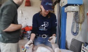 dsc06932_1200x714.jpg