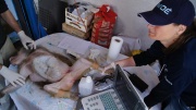 dsc06941_1200x674.jpg