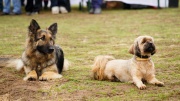 dsc07487_1200x674.jpg