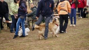 dsc07491_1200x674.jpg