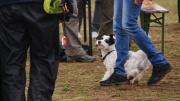 dsc07494_1200x674.jpg