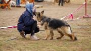 dsc07499_1200x674.jpg