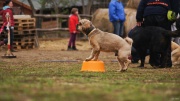 dsc07541_1200x674.jpg