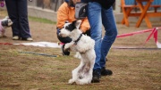 dsc07571_1200x674.jpg