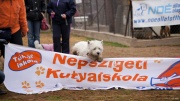 dsc07600_1200x674.jpg