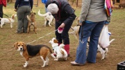 dsc07646_1200x674.jpg