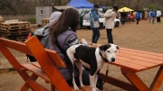 dsc07780_1200x674.jpg