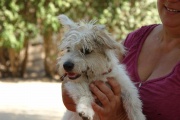 dsc07841.jpg