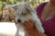 dsc07844.jpg