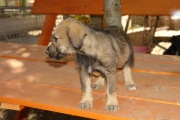 dsc07864.jpg