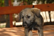 dsc07869.jpg