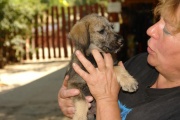dsc07882.jpg
