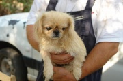 dsc07976.jpg