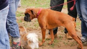 dsc08128_1200x674.jpg