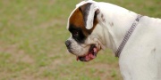 dsc08133_1200x604.jpg