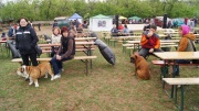 dsc08211_1200x674.jpg