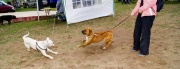 dsc08213_1200x466.jpg