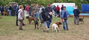 dsc08215_1200x548.jpg