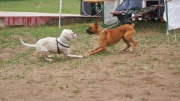 dsc08216_1200x674.jpg