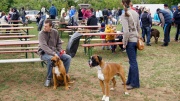 dsc08220_1200x674.jpg