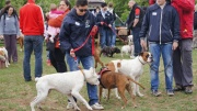 dsc08221_1200x674.jpg