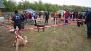 dsc08228_1200x674.jpg