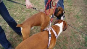 dsc08247_1200x674.jpg