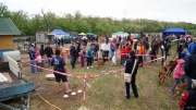 dsc08250_1200x674.jpg