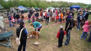 dsc08251_1200x674.jpg