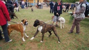dsc08260_1200x674.jpg