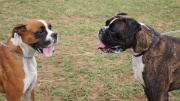 dsc08262_1200x674.jpg