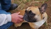 dsc08264_1200x674.jpg
