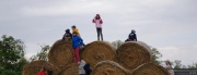 dsc08272_1200x461.jpg