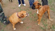 dsc08276_1200x674.jpg